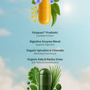 Gut Glow Bundle - Gut Health + FREE Spirulina & Chlorella