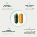 Gut Glow Bundle - Gut Health + FREE Spirulina & Chlorella